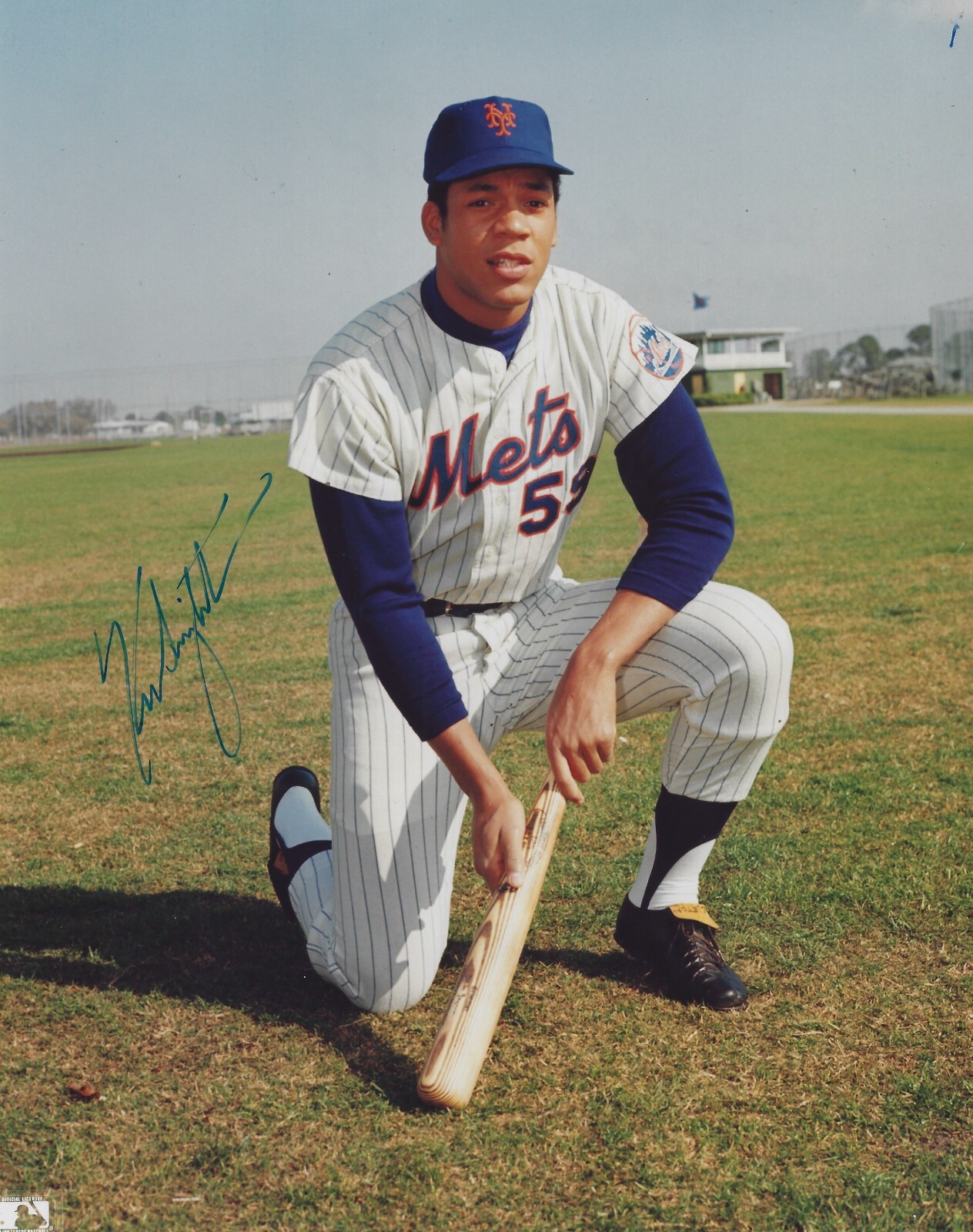 ジャンカルロ・スタントン MLB 直筆サインPhoto