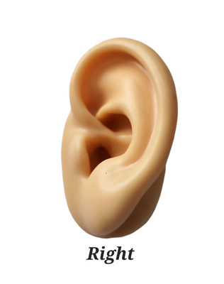 Ear Model , Soft Silicone, Jewelry Studs Display