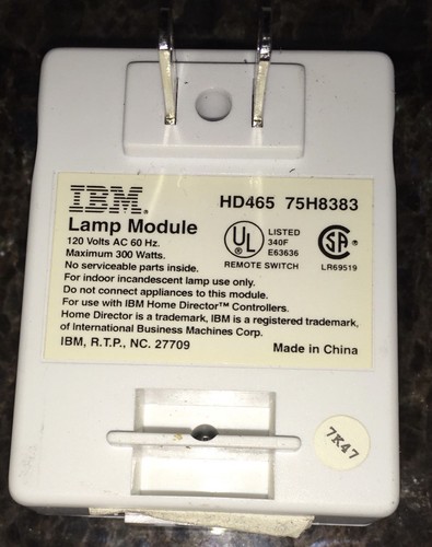 IBM Home Director Lot