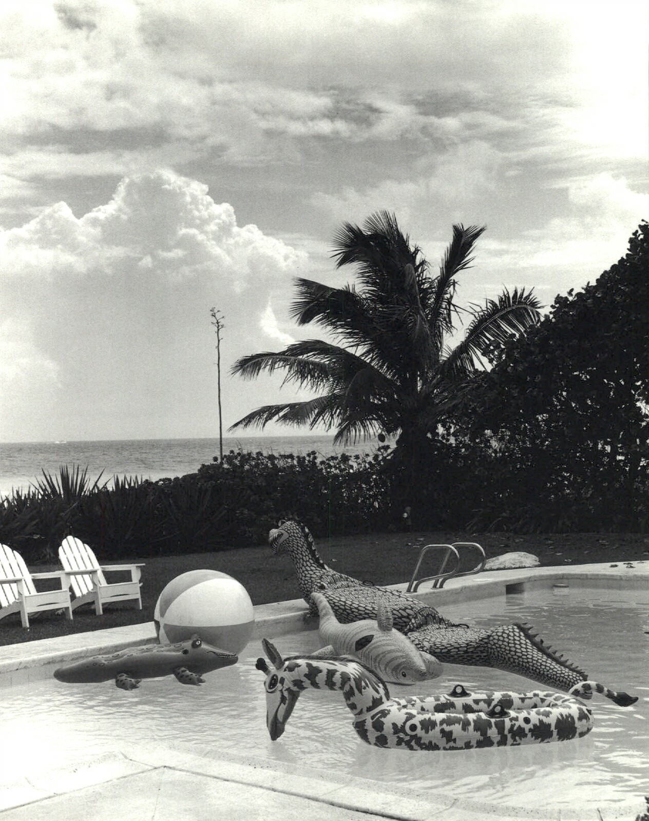 SOUTH BEACH Stories ヴェルサーチ bruce weber 1991 Bruce Weber Backyard Pool Ocean Golden Beach Florida