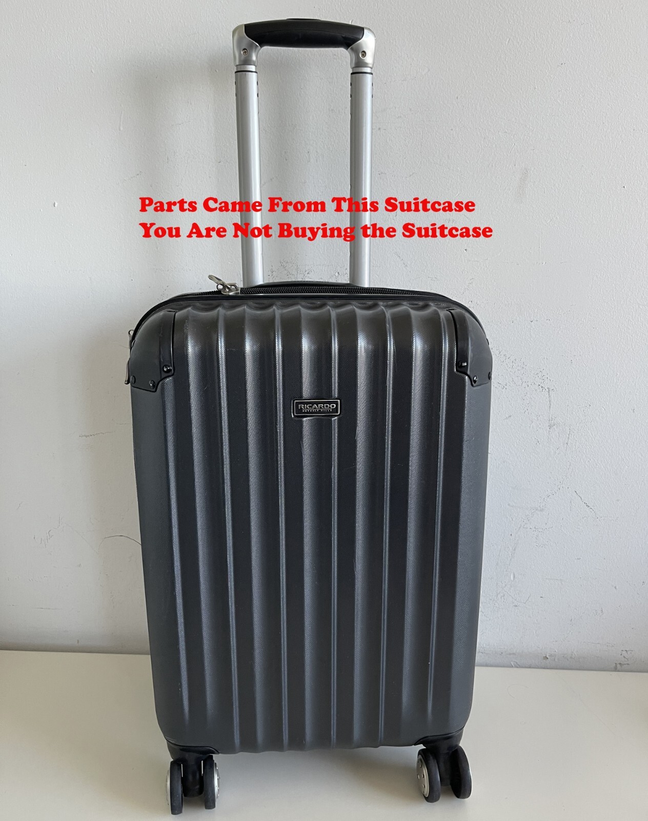 OEM Ricardo Luggage Travel Suitcase Spinner Bag Carry On