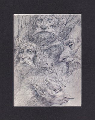 8X10'' Matted Print Art Picture fits Brian Froud: Faeries Fairy Faces Beasts