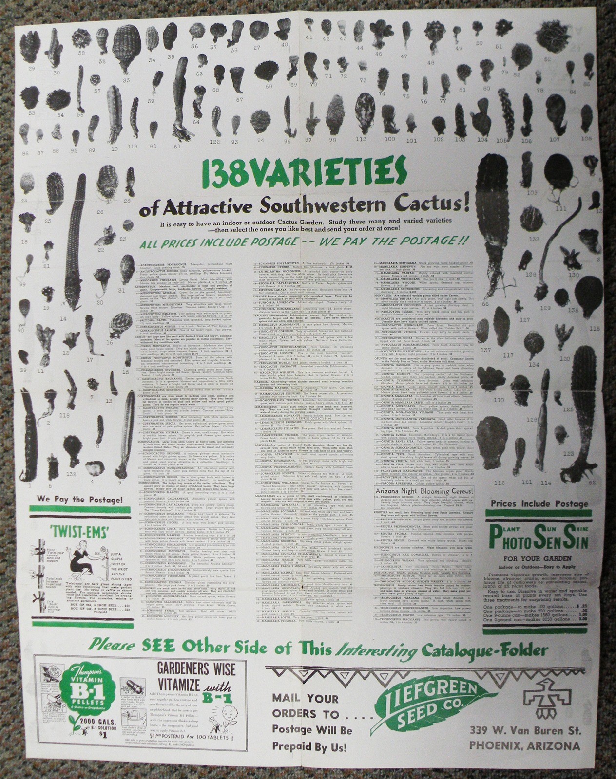 Johnson's Cactus Gardens Hynes California Growing Cactus For Your Home - Catalog