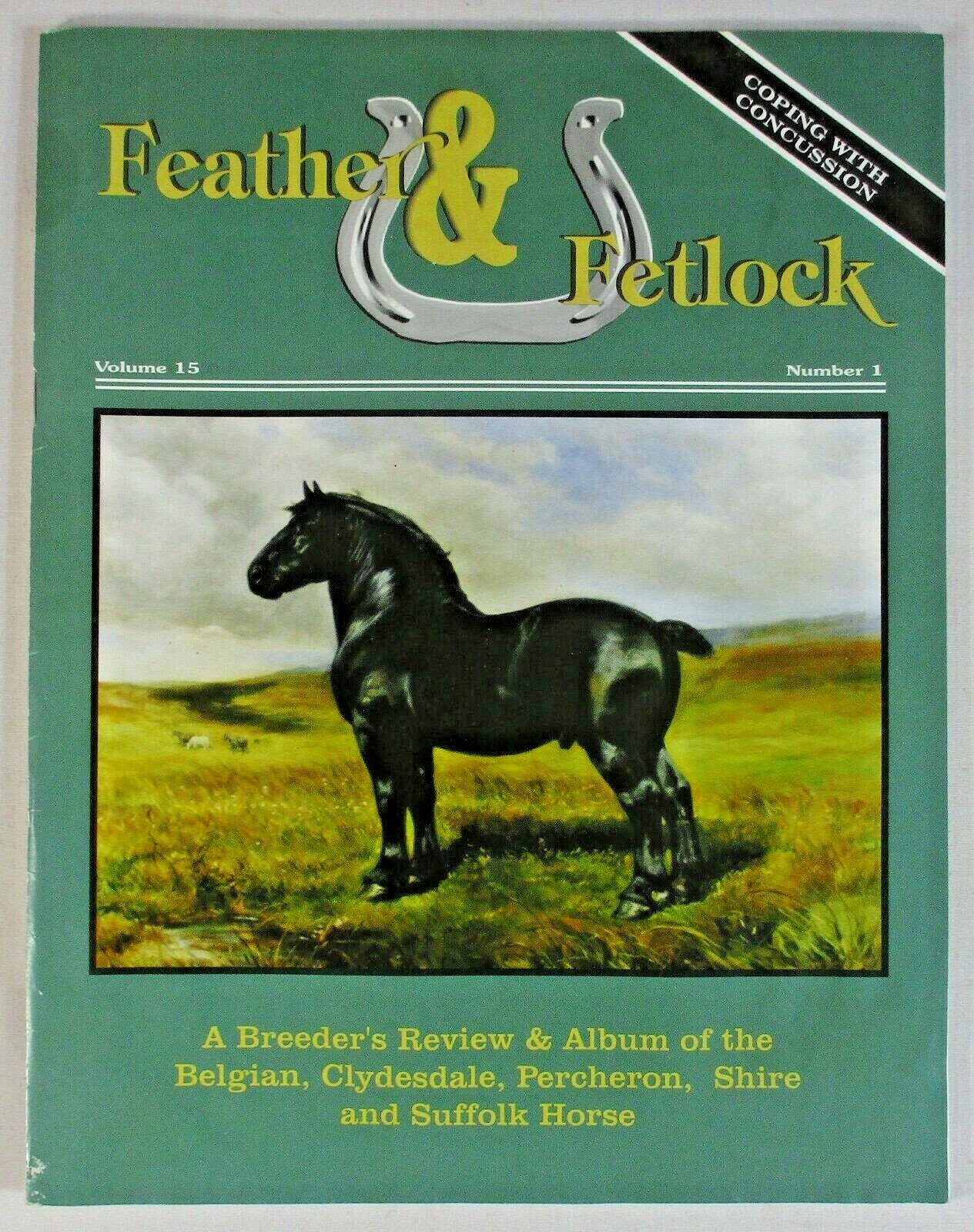 FEATHER AND FETLOCK MAGAZINE VOL.15 #1 BELGIAN CLYDESDALE FEATHER AND FETLOCK MAGAZINE VOL.15 #1 BELGIAN CLYDESDALE