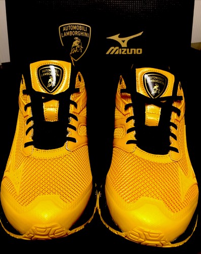 ヨッシー ロビン $_12.JPG?set_id=880000500F