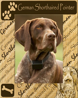 German Shorthaired Pointer Laser Engraved Wood Picture Frame Portrait (5 x 7)