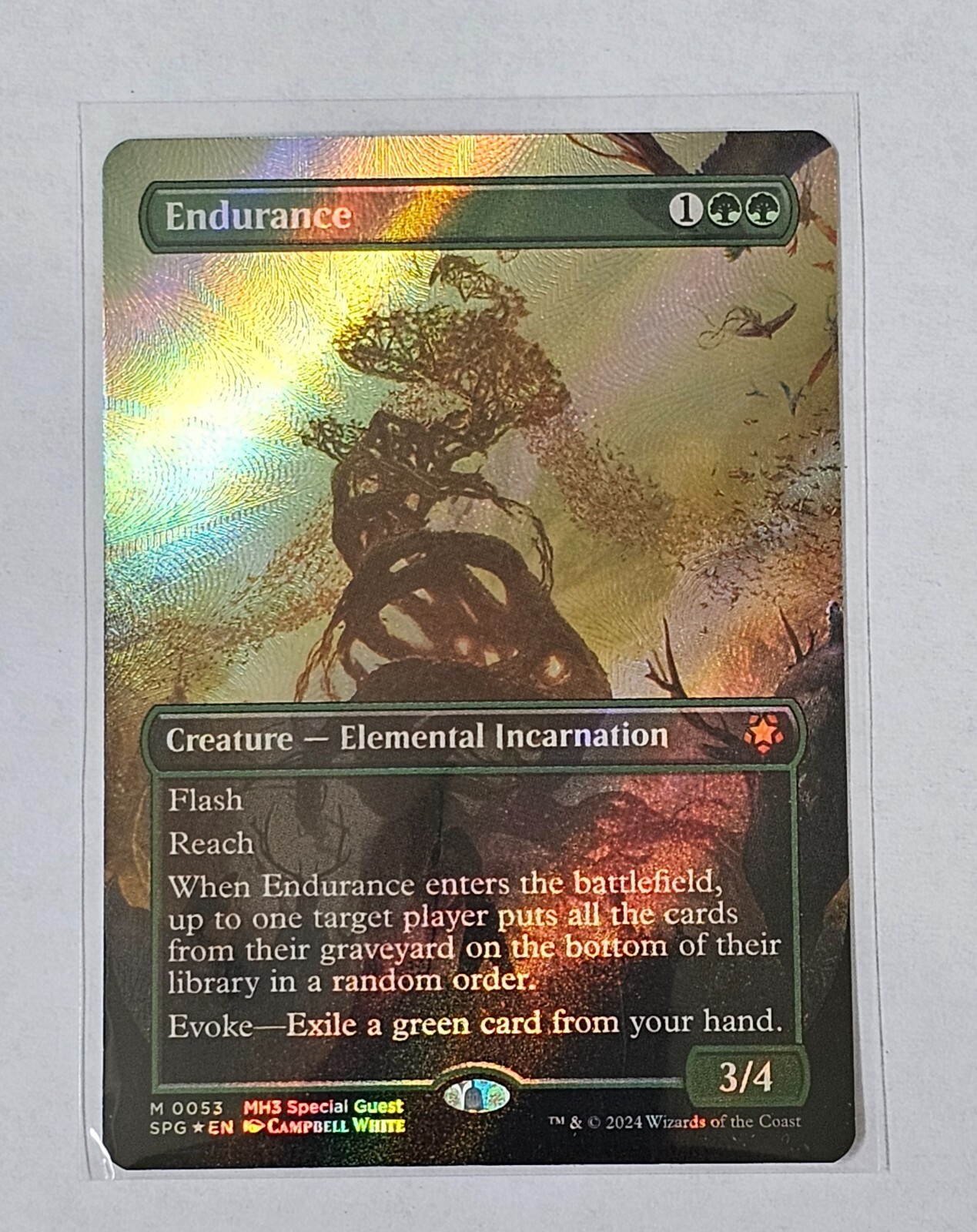 MTG FOIL 平地 UST 英 FOIL - MTG Three Tree City (Borderless) #339 - Bloomburrow
