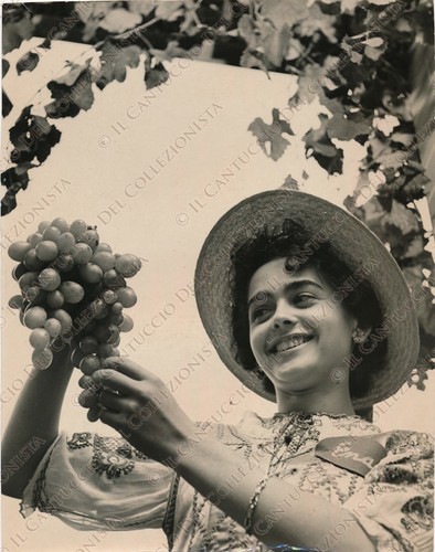 1955 ROVIGO Festa dell’uva ragazza vendemmia vino Fotografia - Picture 1 of 2