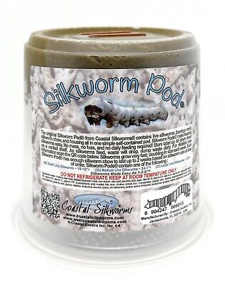 Small Silkworm Pod  (50 Small Live Silkworms & Food)