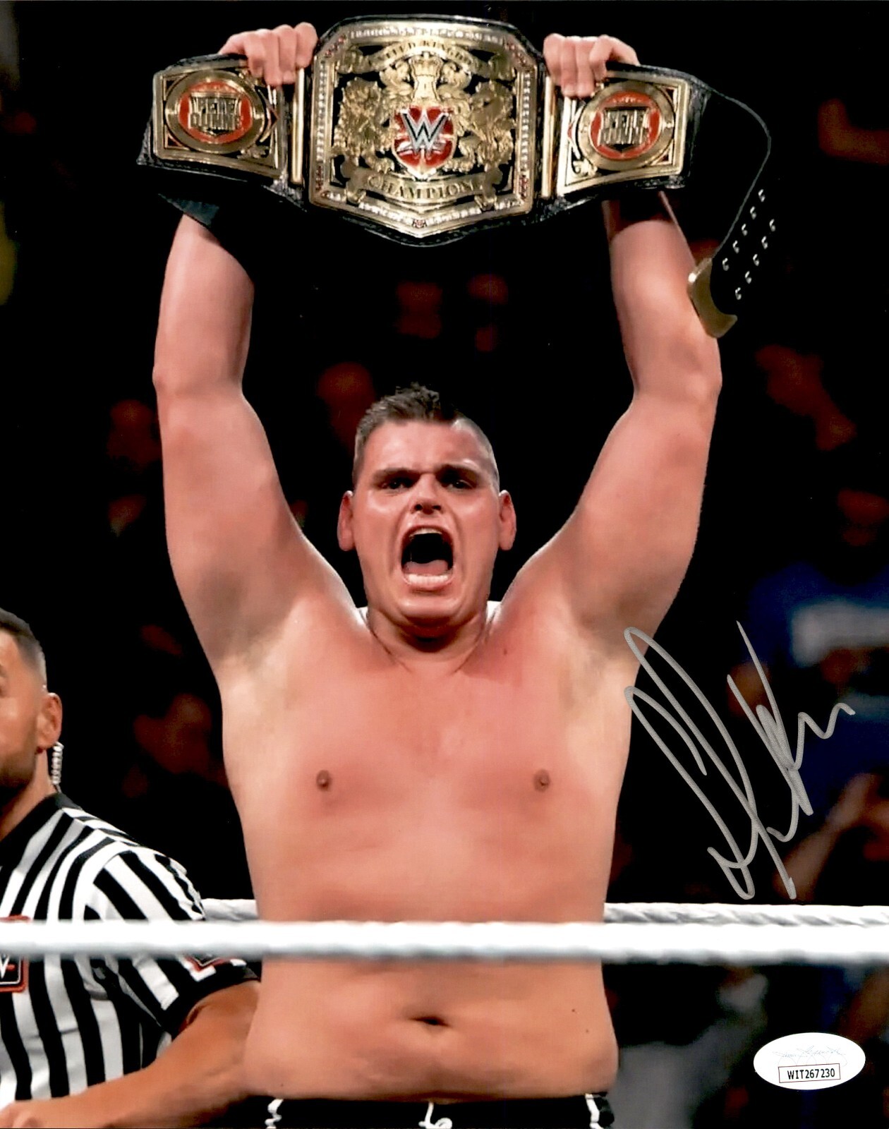 WWE ビックバンベイダー ビッグバン・ベイダー - Wikiwand