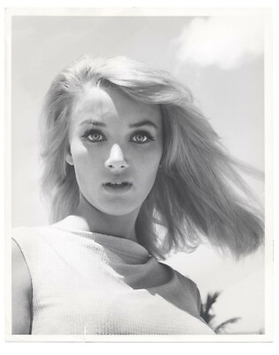 Barbara Bouchet 1965 In Harm S Way Original 8x10 Lovely Portrait のebay公認海外通販 セカイモン