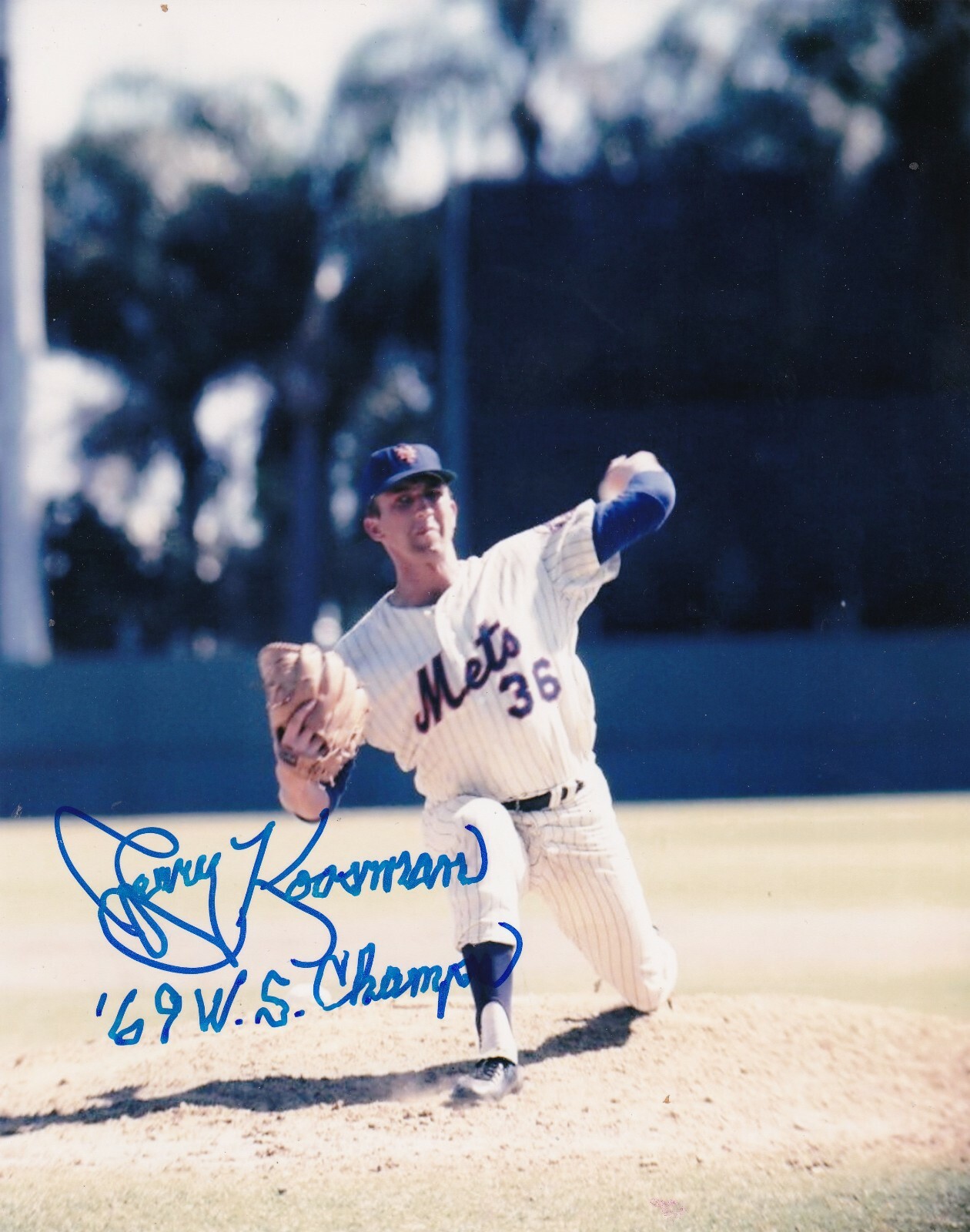 New York Mets 1969年ワールドチャンピオン スタジャン　MLB s-l400.jpg
