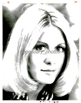 1981 Close Up of Actress Joan Van Ark Original News Service Photo