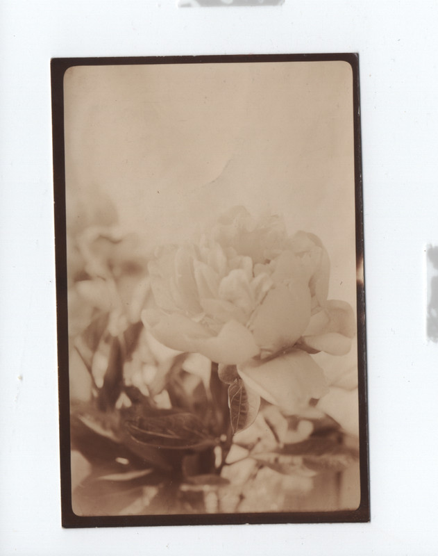 A552 Photo Originale Vintage Snapshot:-------CamÃ©Lia---------