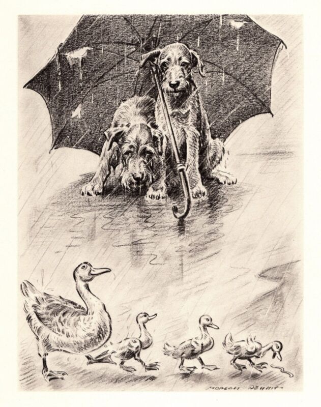 Sweet Irish Terrier & Ducks Print Morgan Dennis Illustration Wall Art 4838m