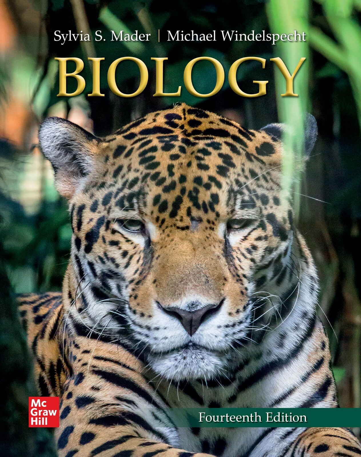 健康・医学 HUMAN BIOLOGY Sixteenth Edition Amazon.com: Human Biology: 9781260233032: Mader, Sylvia S