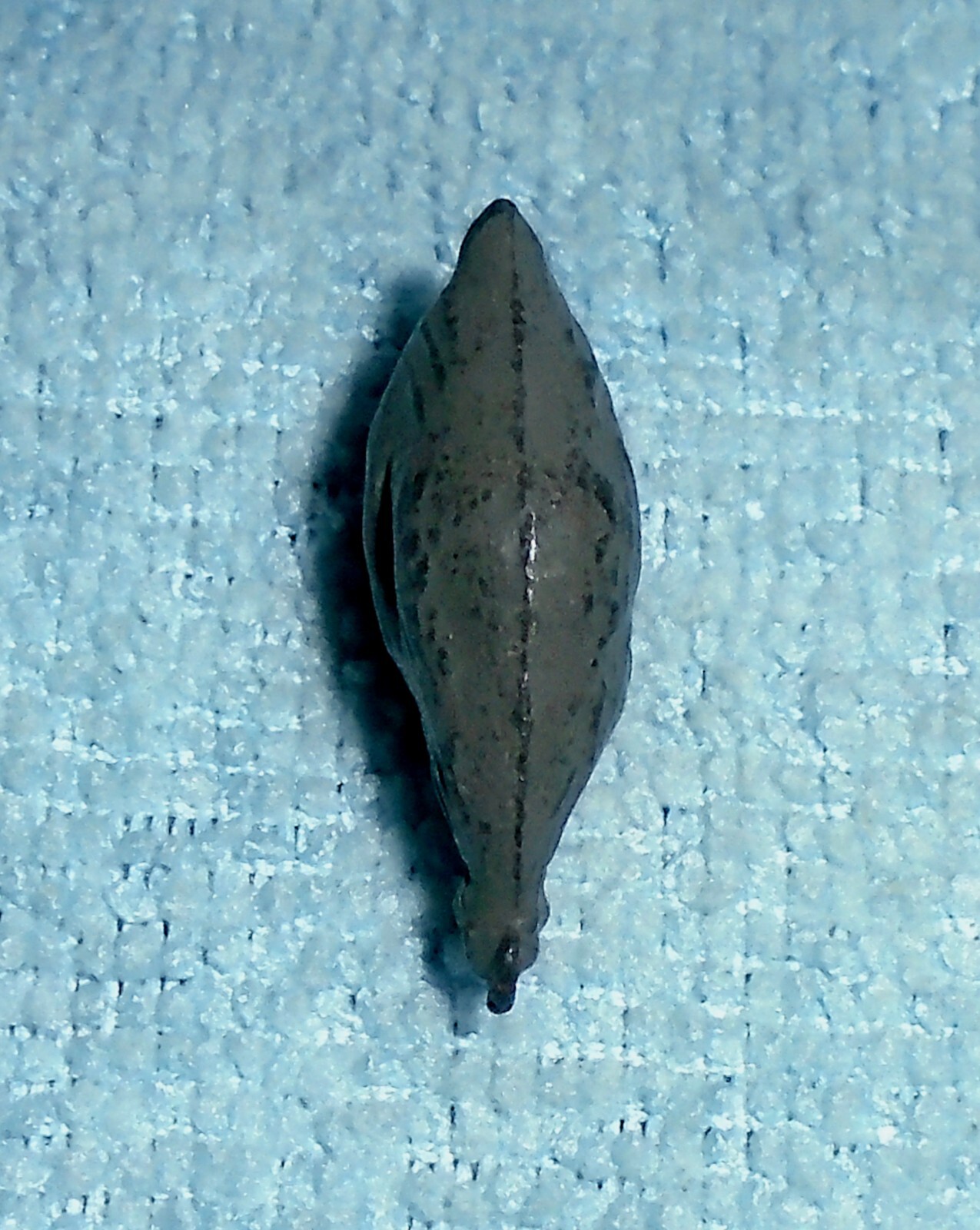 Vintage Lead Johillco (John Hill & Co) "Cockerel, Gray" Near Mint Free Ship D