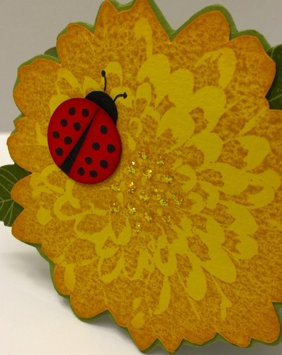 Handmade Birthday Card ~ Flower with Ladybug ~ made w/ Stampin Up & other prod