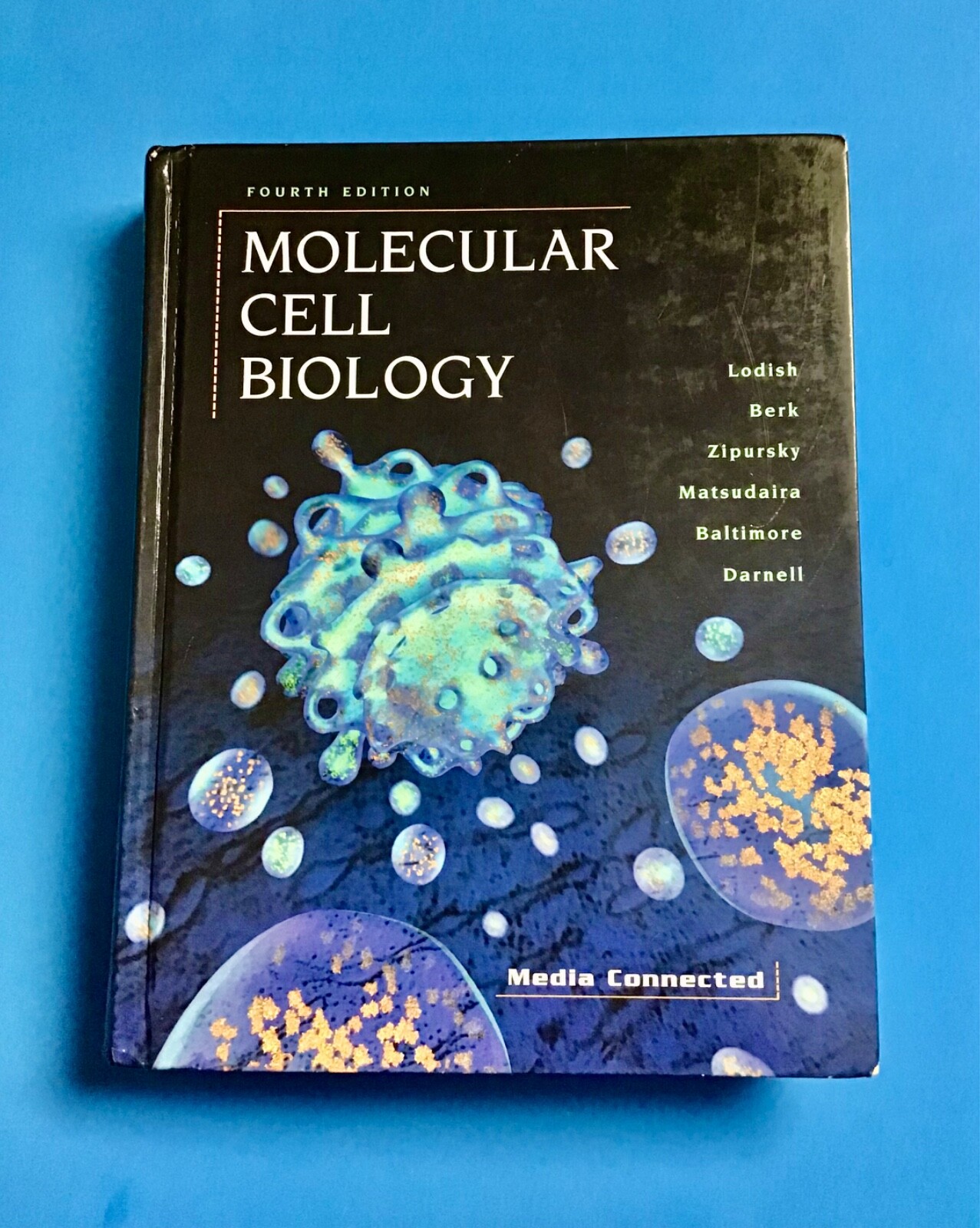 【新品未開封】Molecular Biology of the Cell 第4版 新品未開封】Molecular Biology of the Cell 第4版 Amazon.co.jp