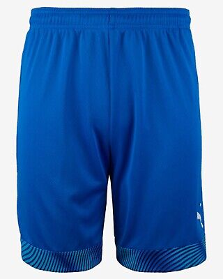Puma Men CUP Shorts Pants Training Blue Running Soccer Dry-Cell Pant 70406802