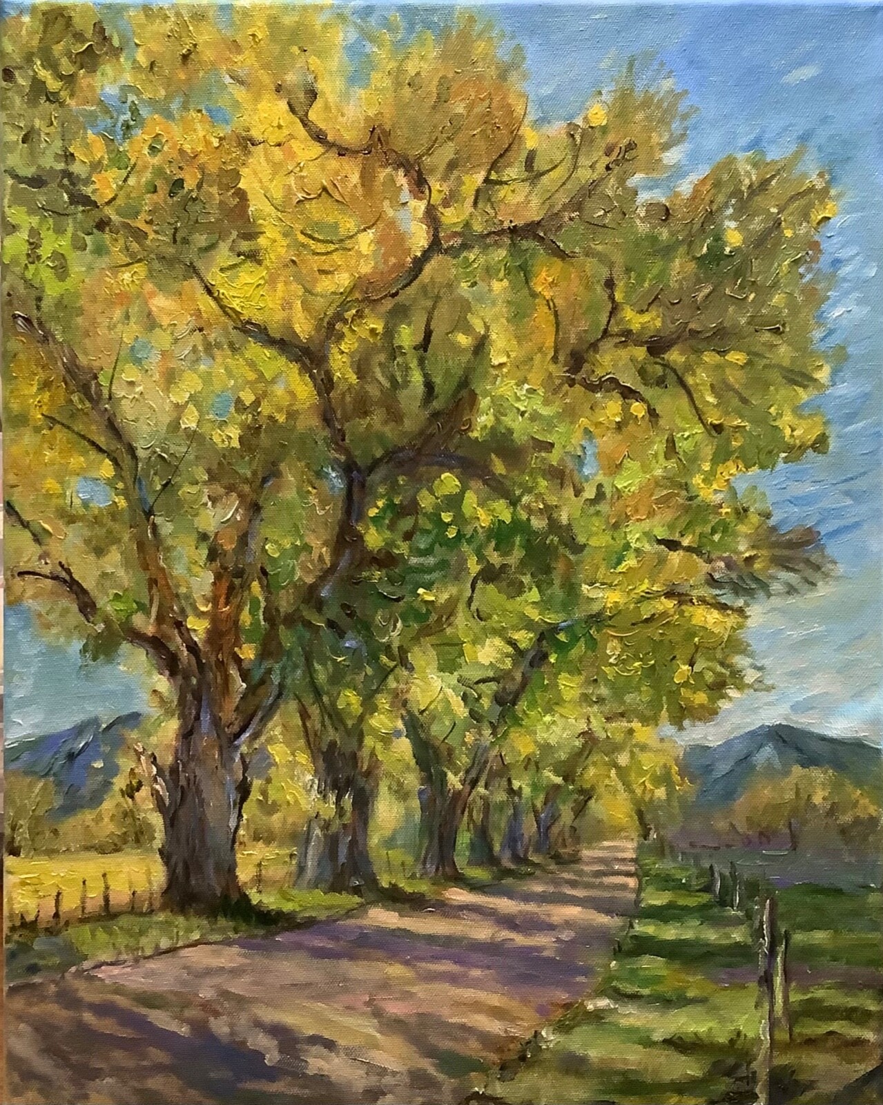 Original oil painting, Landscape, OLD ELMS ROAD 16x20 Original oil painting, Landscape, OLD ELMS ROAD 16x20