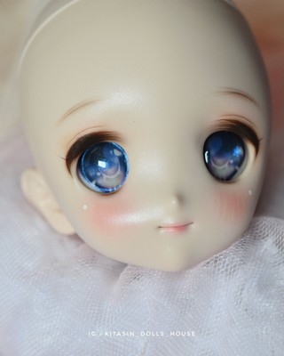 DDH-22 [Flesh] Dollfie Dream Head Face-Up Re-Paint Custom