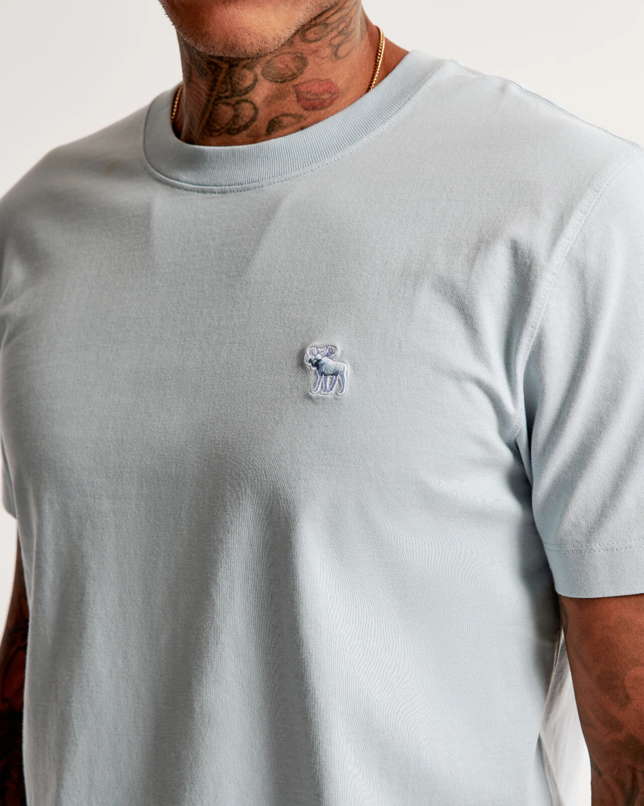 Abercrombie & Fitch Mens Polished Tonal Icon Tee Moose T