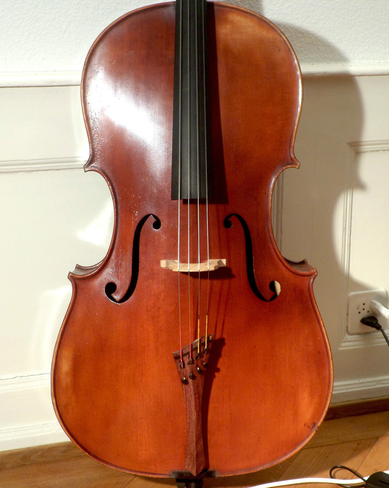 Amati Streich- & Zupfinstrumente