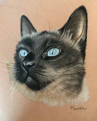 Custom Pet Drawing