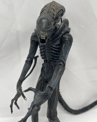 NECA ゼノモーフ　アルビノ　エイリアン Amazon.com: NECA Aliens 7