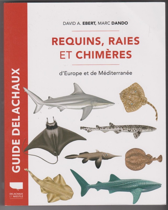 Requins Raies Et Chimeres Europe MÃ©DiterrannÃ©E Ebert Dando Delachaux Et NiestlÃ©