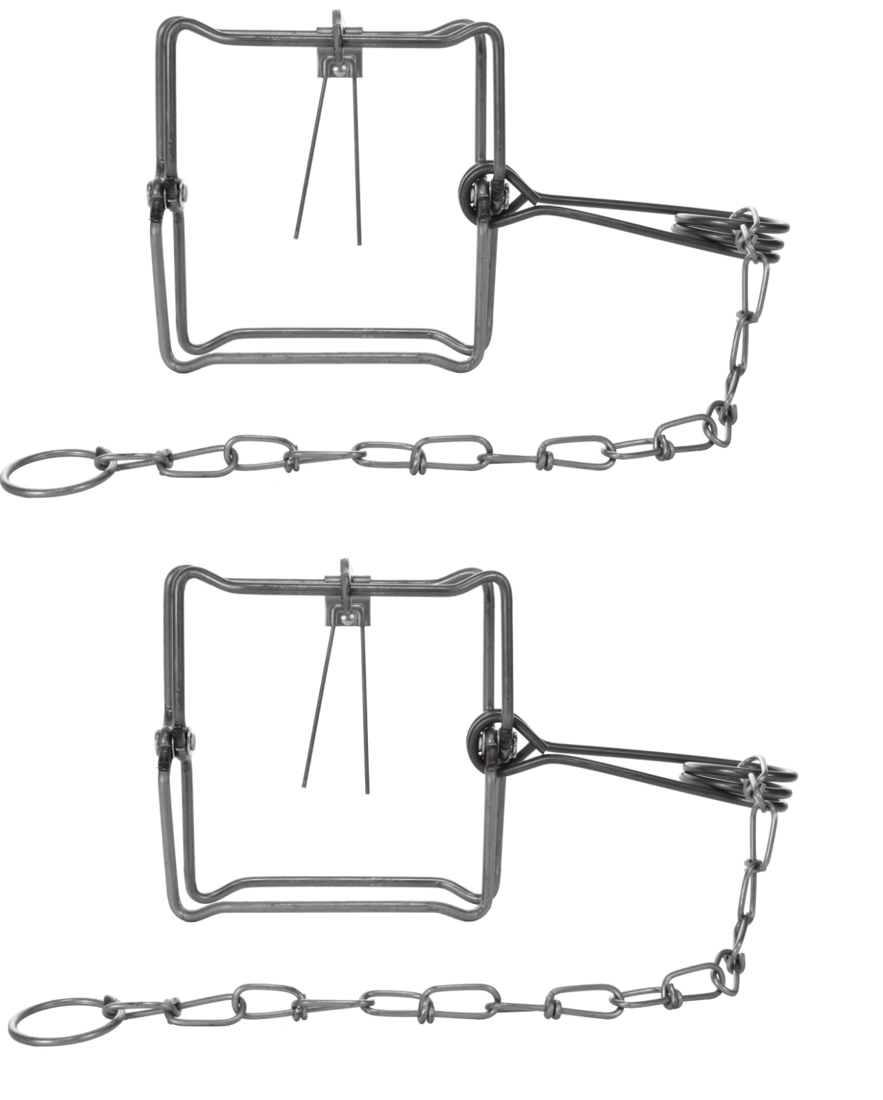 2 Bridger 5X5 (#150) Bodygripper Body Grip Animal Trap 2 Traps