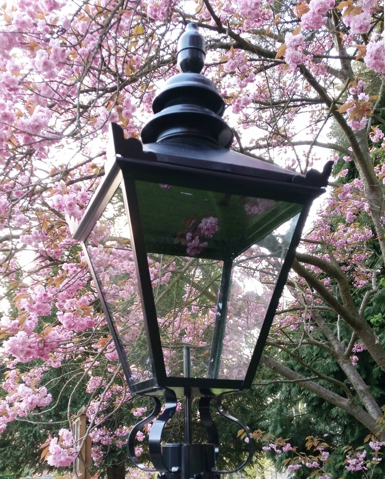Large Black Traditional Victorian Style Old Lantern Lamp Top Garden