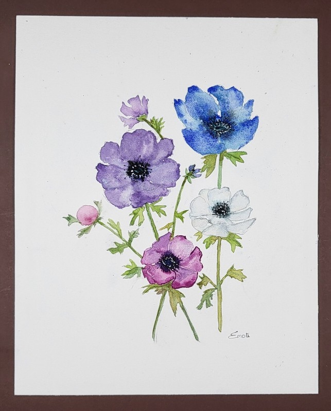 Aquarelle Originale SignÃ©E AnÃ©Mones