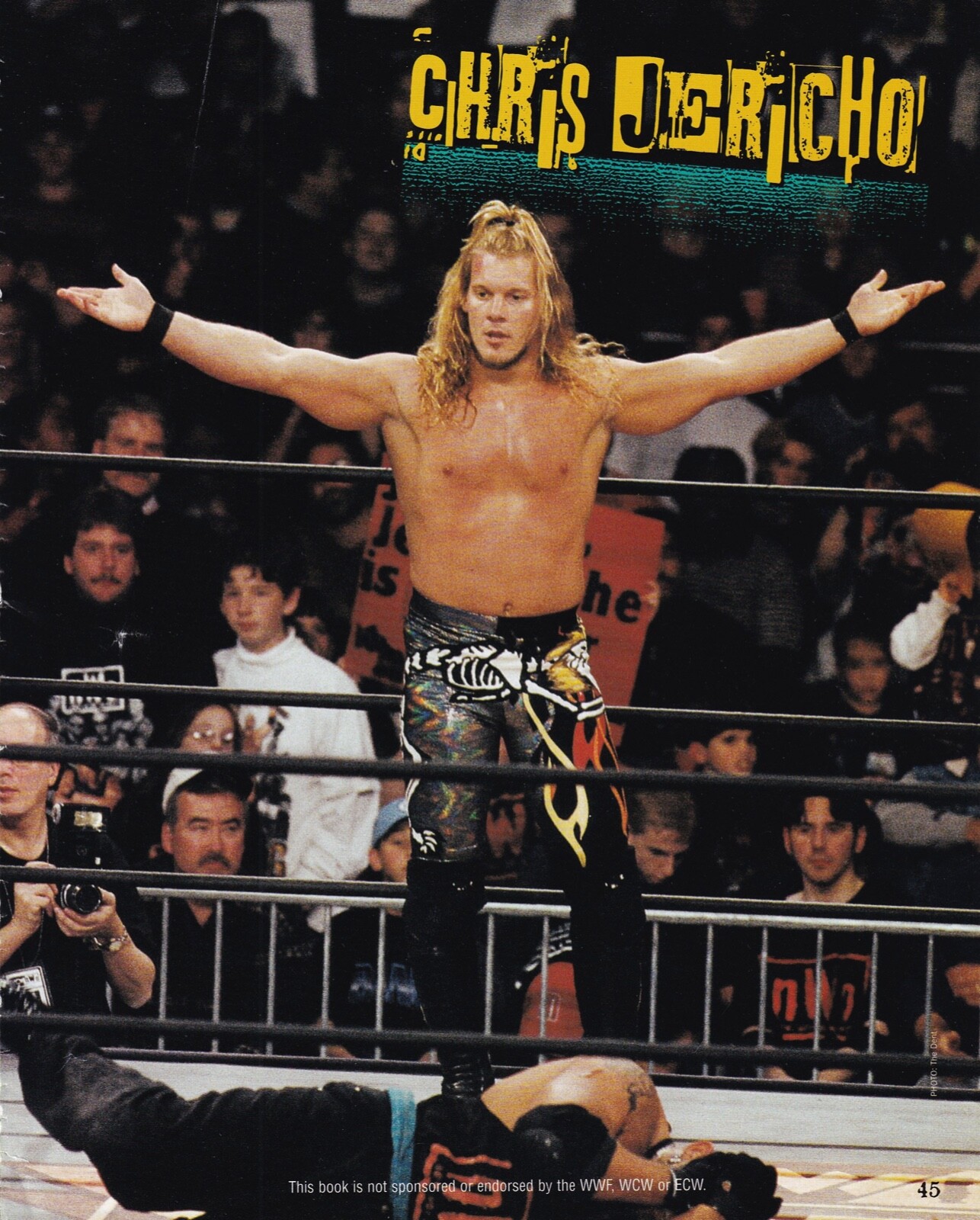 WWEブック Brock Lesnar Undertaker 8.5x11 WWE Wrestling Magazine Page