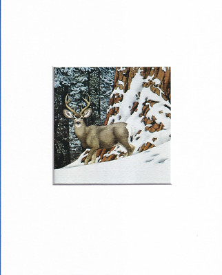 8X10'' White Matted Print Art Painting Picture Bev Doolittle: Broken Silence Deer