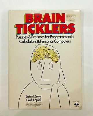 Vintage Computer Programming Book 1981 - Brain Ticklers