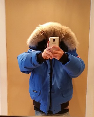 Pre-owned Canada Goose Grey Label Edition Polar Bear  Blue Label Pbi Chilliwack Xl Parka In Royal Blue (polar Bear Limited Edition) Pbi