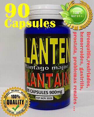 Llanten Plantago Mayor Plantain/Plantein broadleaf/greater plantain Herbal Caps