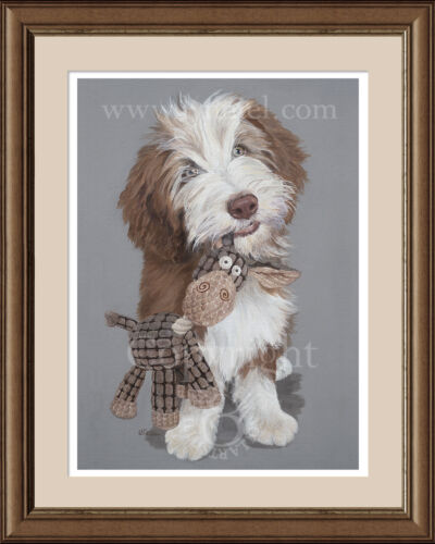 BEARDED COLLIE Fine Art Dog Beardie Print 