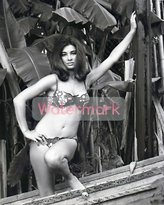 Young ANNE ARCHER Bikini Portrait ** HI-RES Fine Art Archival Photo (8.5''x11'')