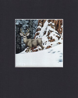 8X10'' Matted Print Art Bev Doolittle Picture: Broken Silence,
