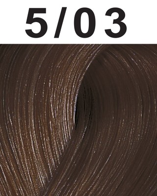 Wella Professionals Color Touch Plus - Demi-Permanent Hair Color