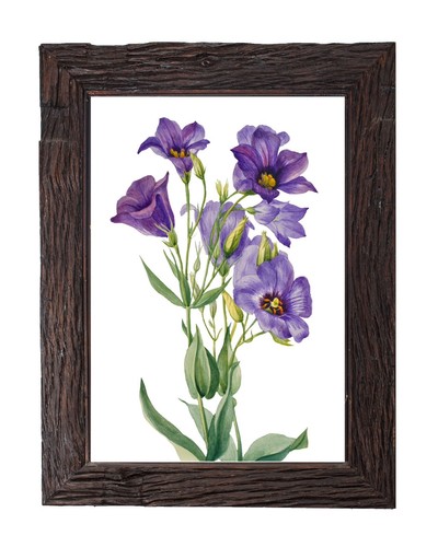 Vintage Botanical Flowers Illustration Antique Retro Wall Decor 5x7 Art Print