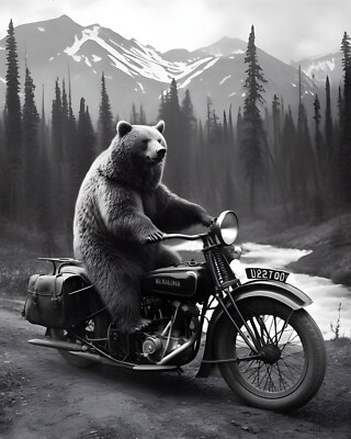 Brown Bear Riding Motorcycle In Mountains  Photograph Giclée Art Print 8x10