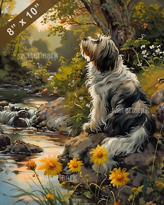 Bearded Collie painting by a peaceful stream 8x10 Print