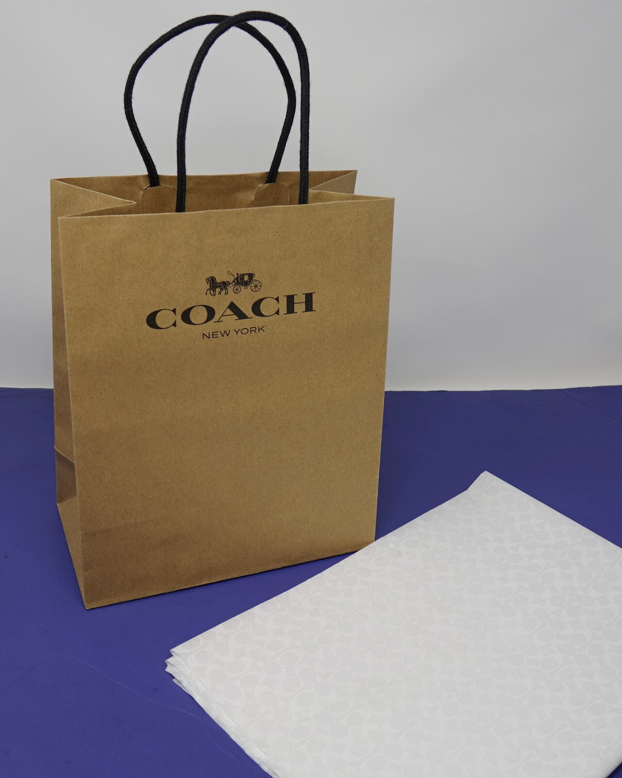 Подарочный бумажный пакет для покупок с логотипом New Coach 8 X 10 X 4,5 + Папиросная бумага