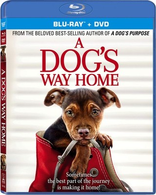 A Dog's Way Home Beloved Family Tale  Bluray, DVD & Digital Copy Bundle
