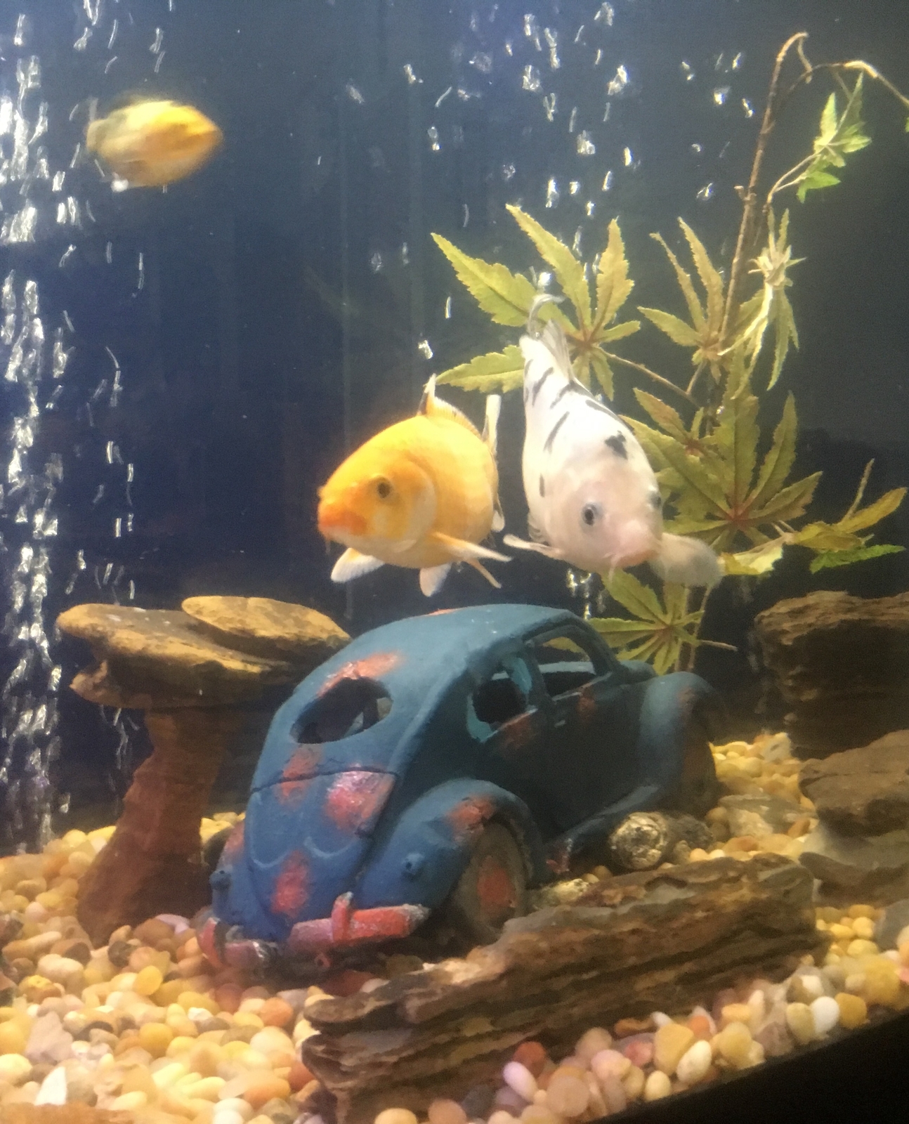 Large VW Beetle Aquarium Ornament, Fish Tank Decoration, Volkswagen Bug