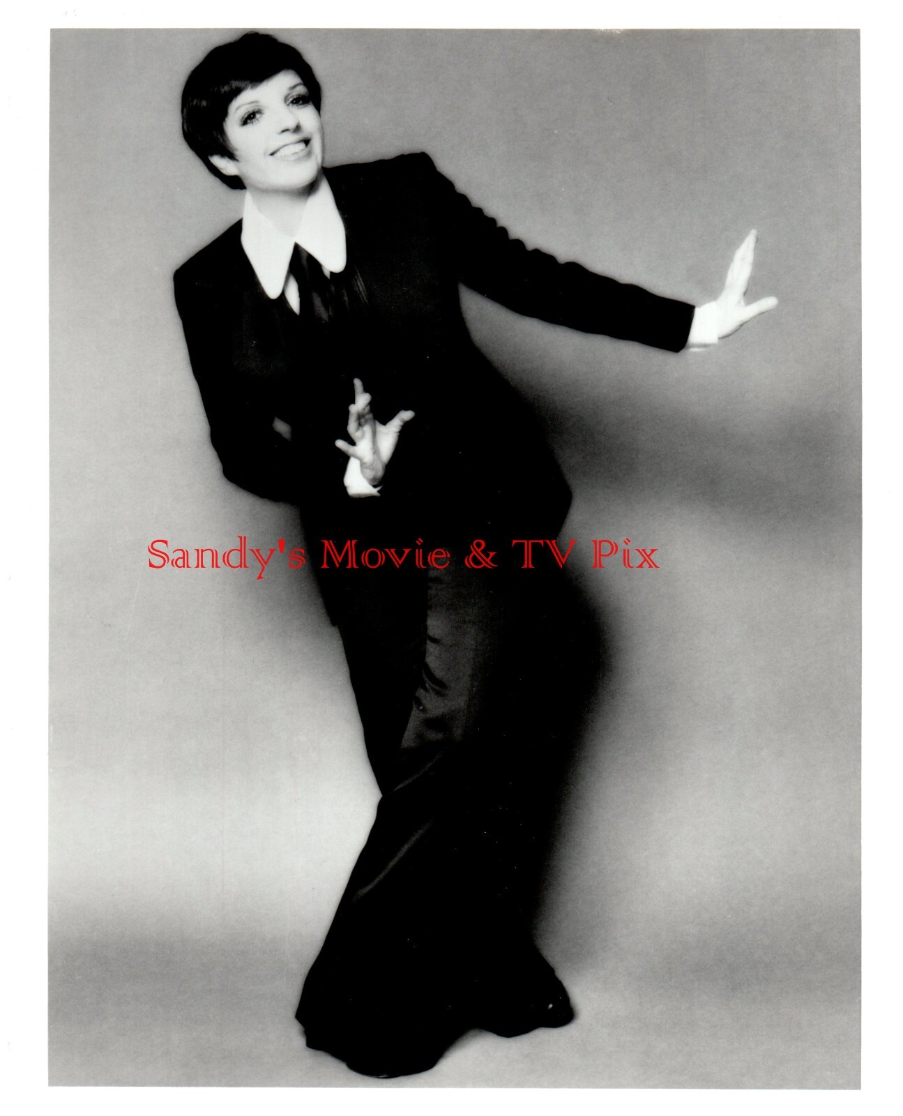 LIZA MINNELLI Fantastic ORIGINAL Photo | eBay